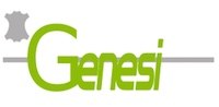 genesi-srl.jpg
